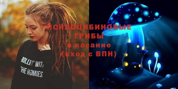 apvp Лихославль