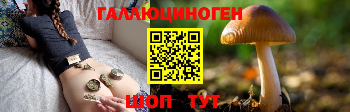 Жуковский  Псилоцибиновые грибы MAGIC MUSHROOMS  Вход с VPN  Галлюциногенные грибы ЛСД 