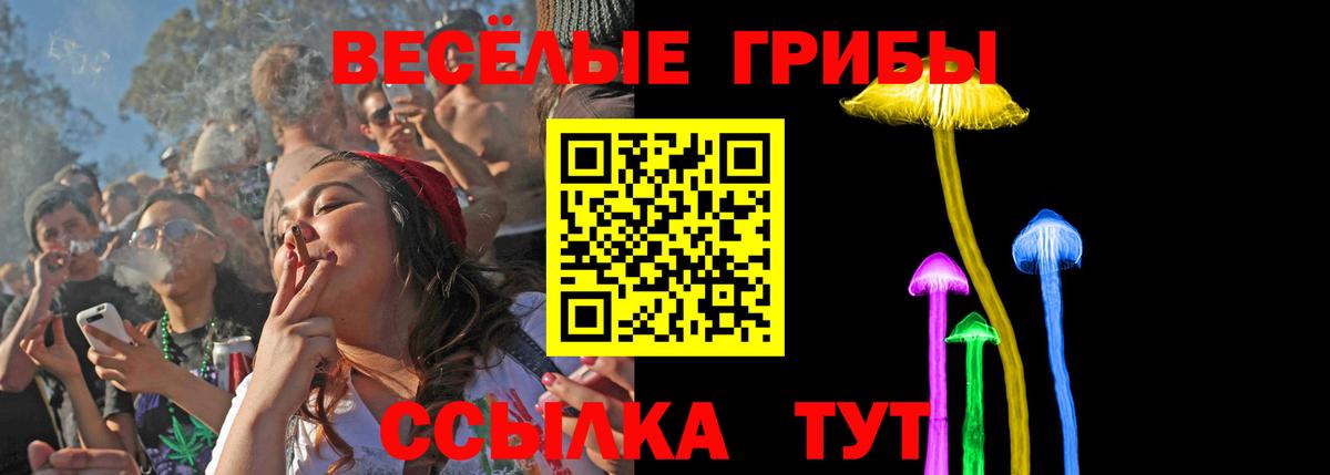 Галлюциногенные грибы MAGIC MUSHROOMS Жуковский
