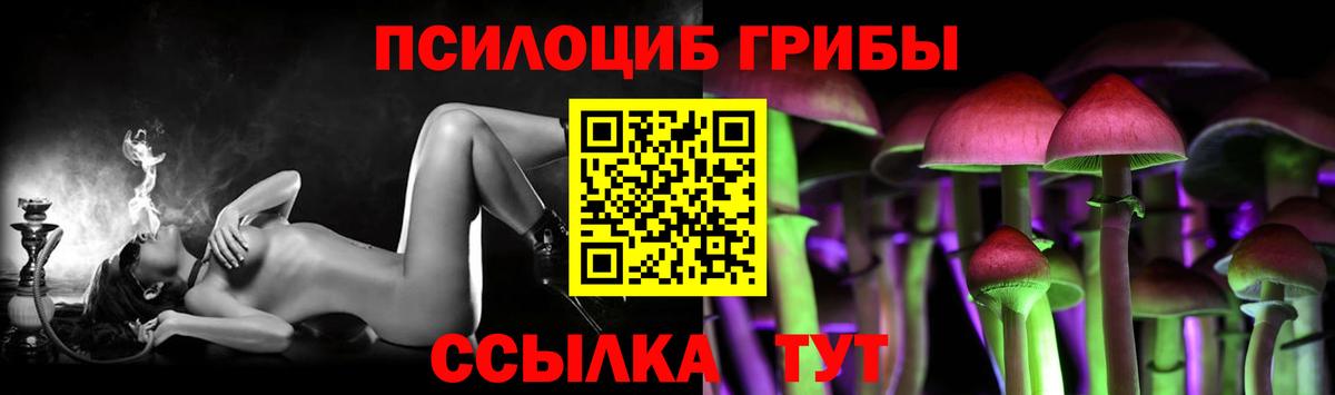 Галлюциногенные грибы Psilocybe  Жуковский 