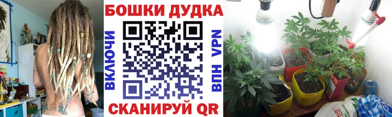Бошки марихуана MAZAR  где найти наркотики  Жуковский 