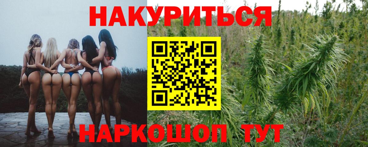 Бошки Шишки план Жуковский